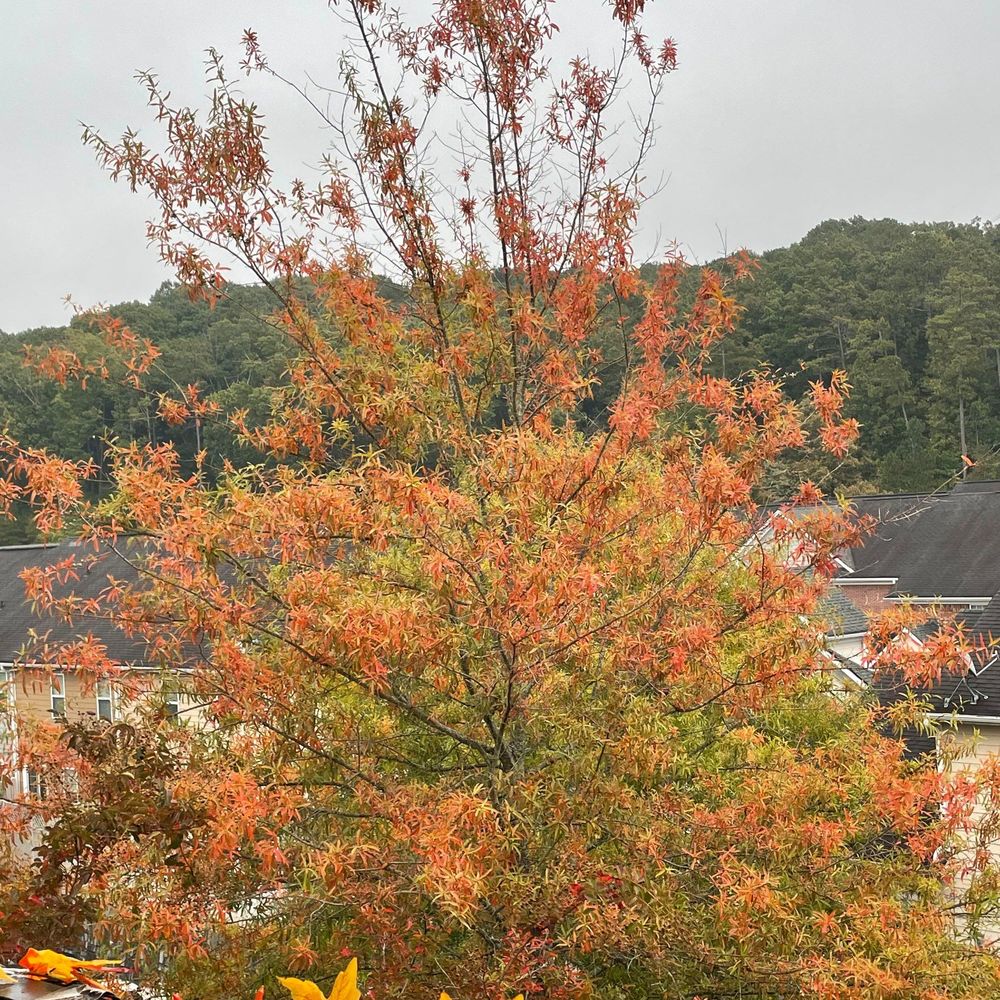 Meet your Posher, Marie-claude